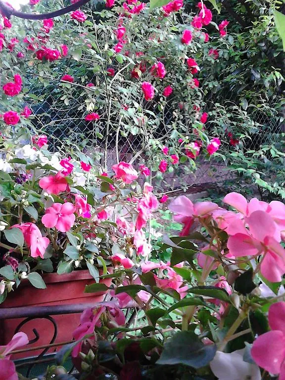 *** Bed & Breakfast B&B La Villetta Milano Italia